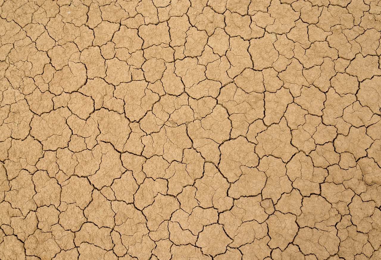 drought